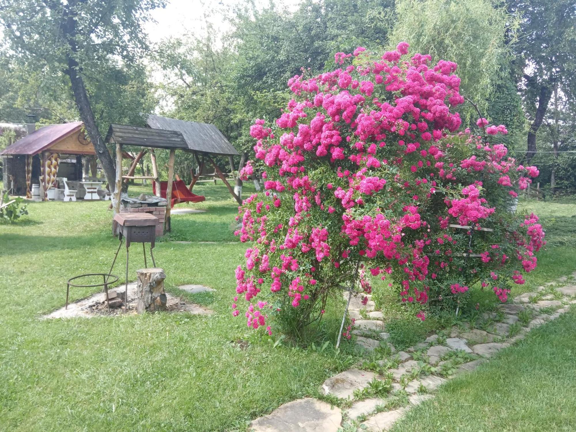 Villa Pidkova Verkhovyna Habitación foto
